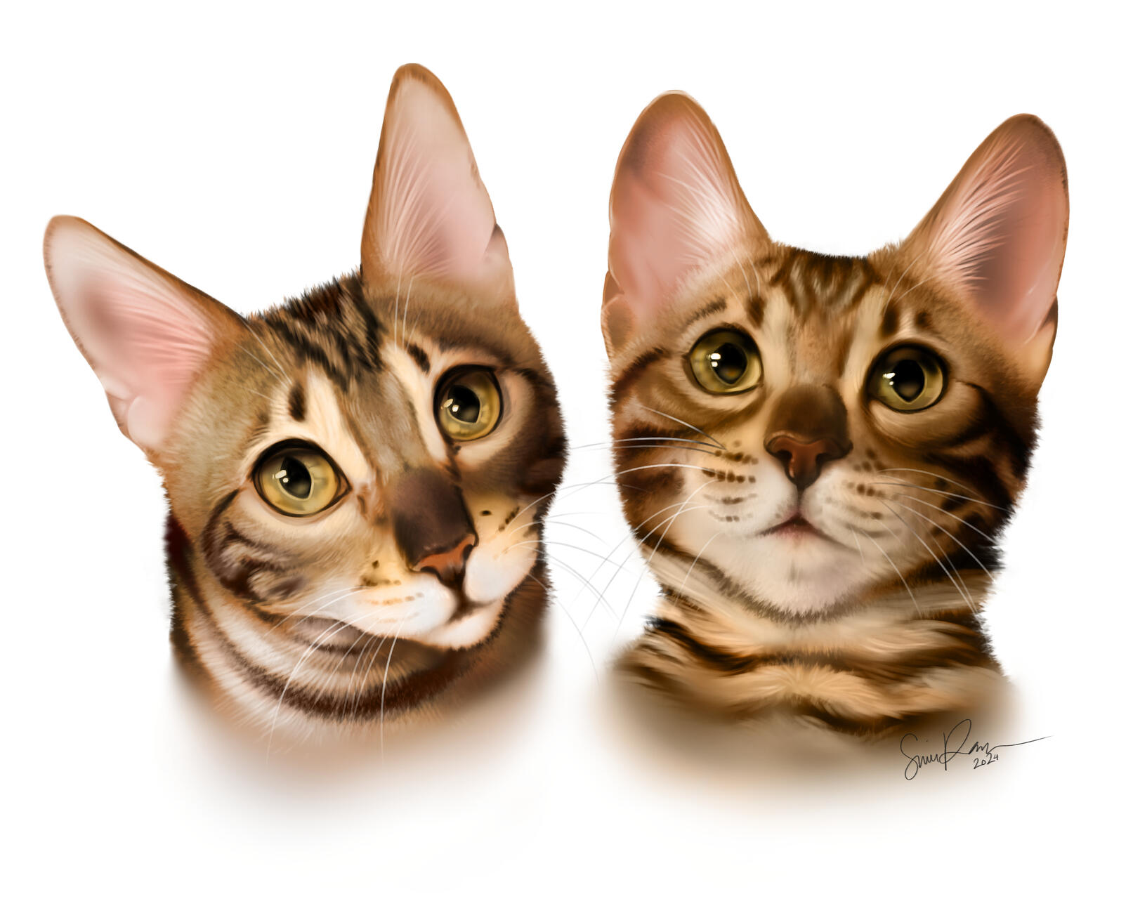 Digital illustration