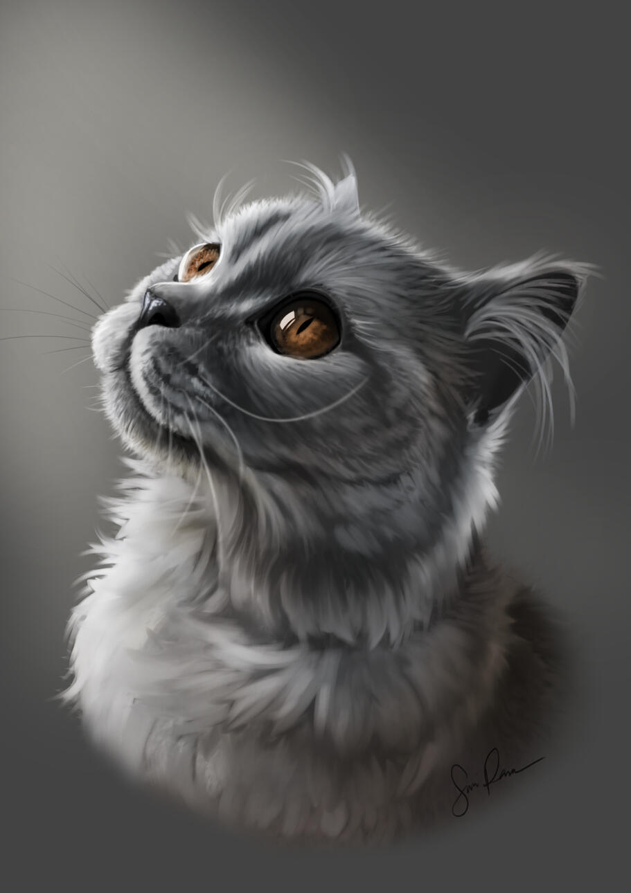 Digital illustration, A4