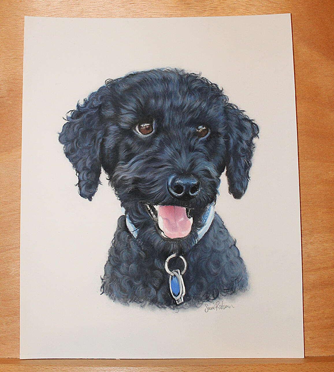 Pastel pencils